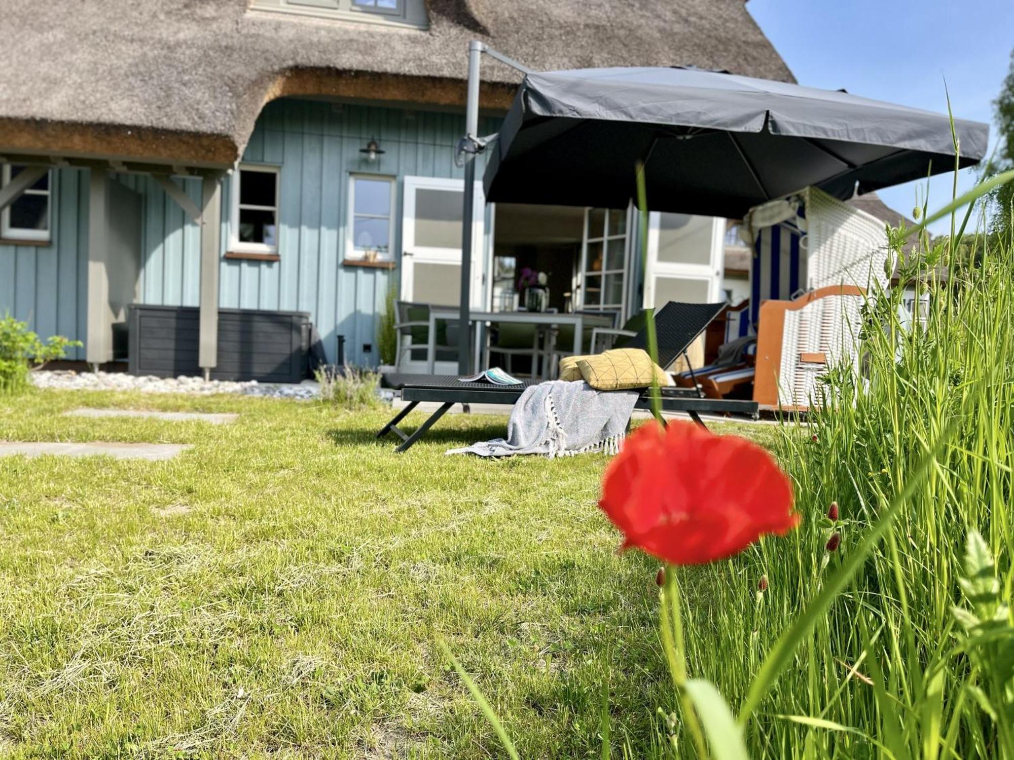 Ferienhaus Strandflieder 05 Feriendorf Klein Stresow Ruegen By Ruyastay Putbus Exterior foto